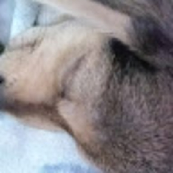 Meet your Posher, Amy jo - Picture 1 of 1